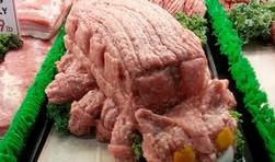 生肉  漫画,探寻肉食背后的故事与情感